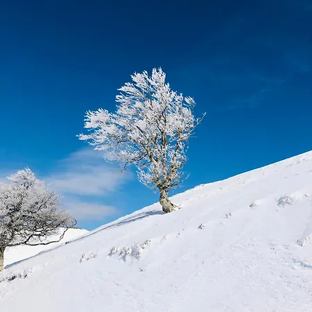 Casa vacanze Botiga *