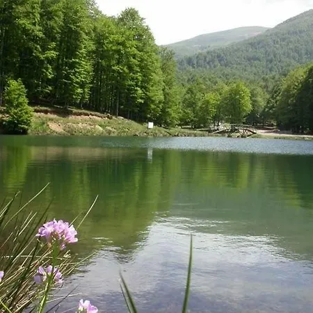 波提嘉乡村别墅 * Saint-Jean-le-Vieux (Ain)