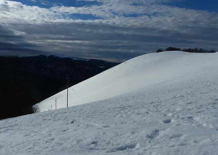Botiga Saint-Jean-le-Vieux (Ain)