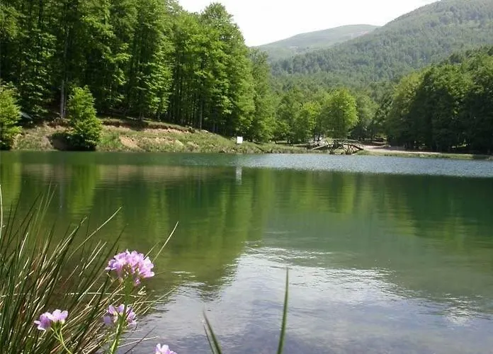 Botiga * Saint-Jean-le-Vieux (Ain)